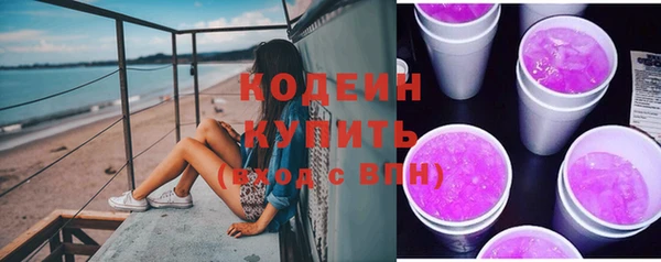 гидра Вяземский