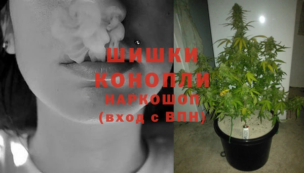 гидра Вяземский