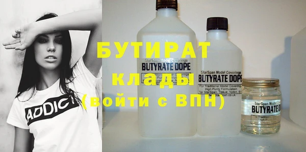 гидра Вяземский