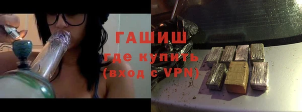 гидра Вяземский