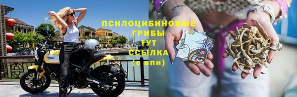 гидра Вяземский