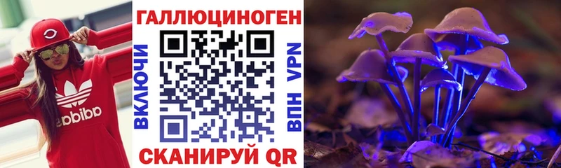 Галлюциногенные грибы Psilocybine cubensis даркнет формула Жердевка